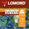 Lomond XL Canvas - холст хлопковый, универсальный, 260г/м2, 914мм*50,8 мм*30м, 1210003