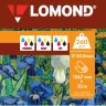 Lomond XL Canvas - холст хлопковый, универсальный, 260г/м2, 1067мм*50,8 мм*30м, 1210005